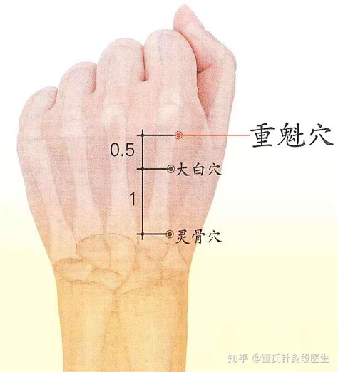 重魁穴|董氏針灸分享之【靈骨、大白、重魁三穴】